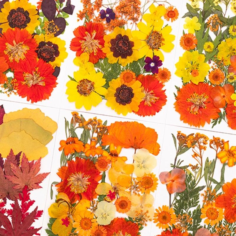 Dried Flower Pressed - レジンモールド用ドライ押し花 スクラップブッキング ジュエリー ソープキャンドル作り