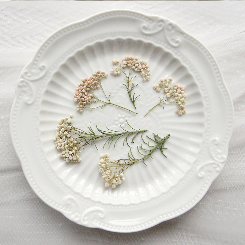 Dried Flower Pressed - 12個入り、天然キビの花の枝、押し花DIY接着剤ドロップ携帯電話ケース植物フォトフレームフラワーブックマークデコレーション