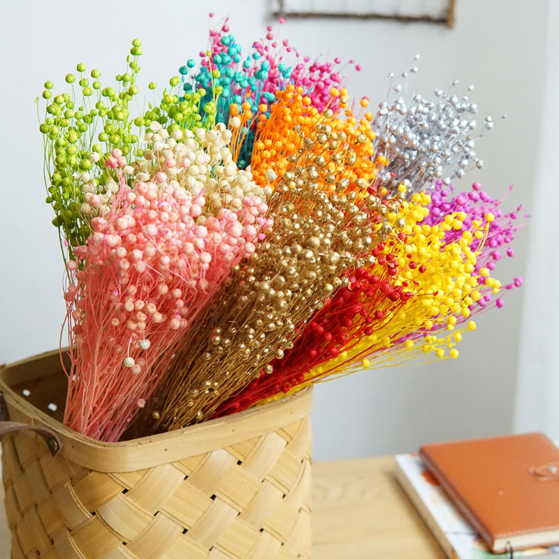 35g/保存されたオルモシア・ホシエ天然本物の花カラフルな乾 - Dried Flower Pressed のレビューと価格