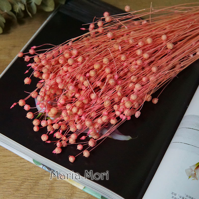 35g/保存されたオルモシア・ホシエ天然本物の花カラフルな乾 - Dried Flower Pressed のレビューと価格